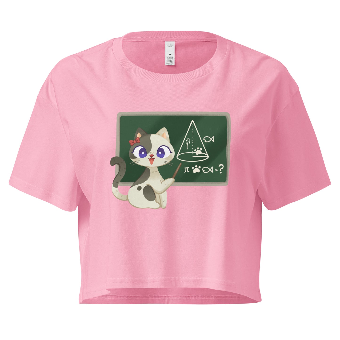Pink crop top cat teacher in front of a chalkboard graphic design