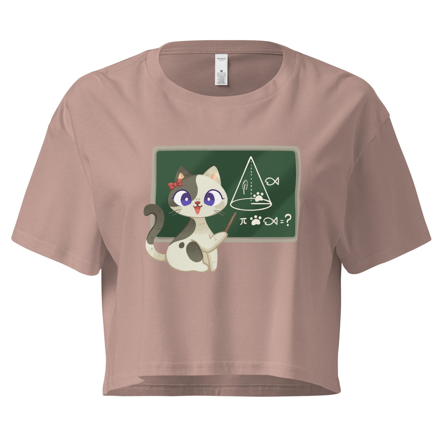 Crop top cat teacher in front of a chalkboard graphic design