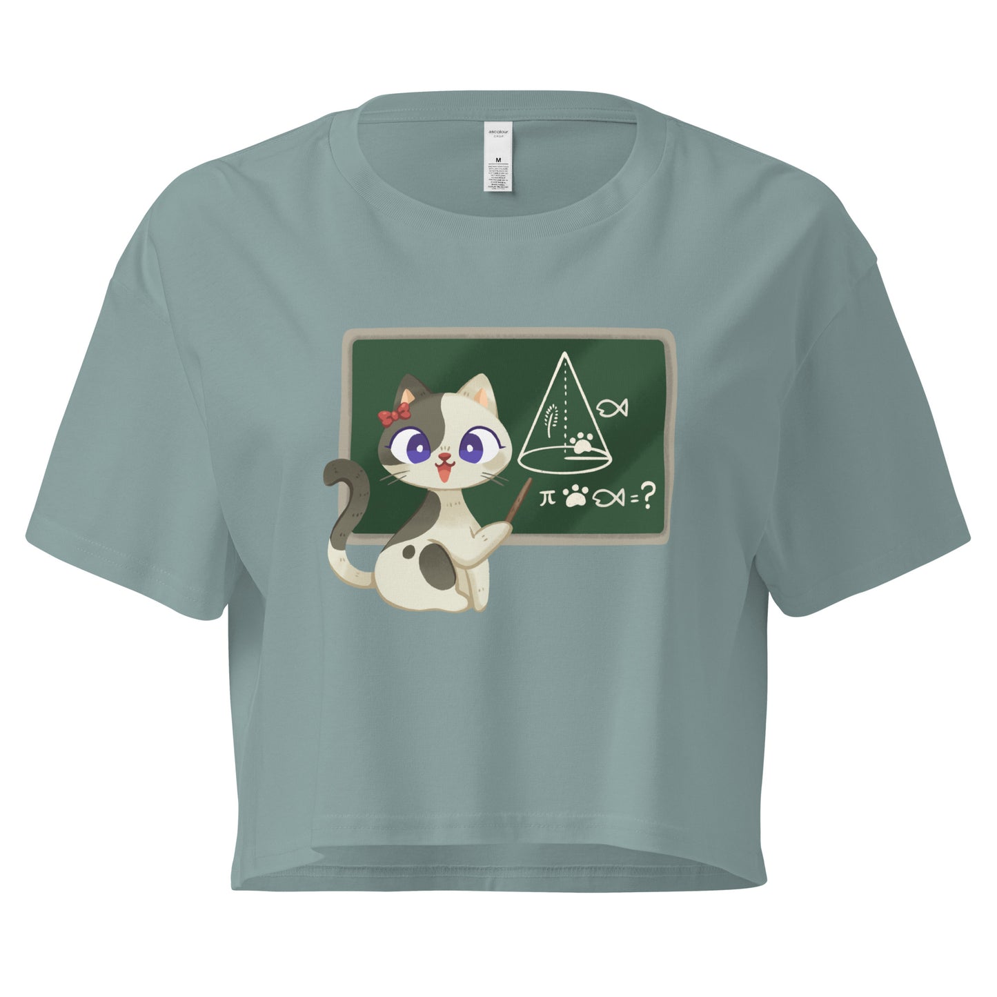 Crop top cat teacher in front of a chalkboard graphic design