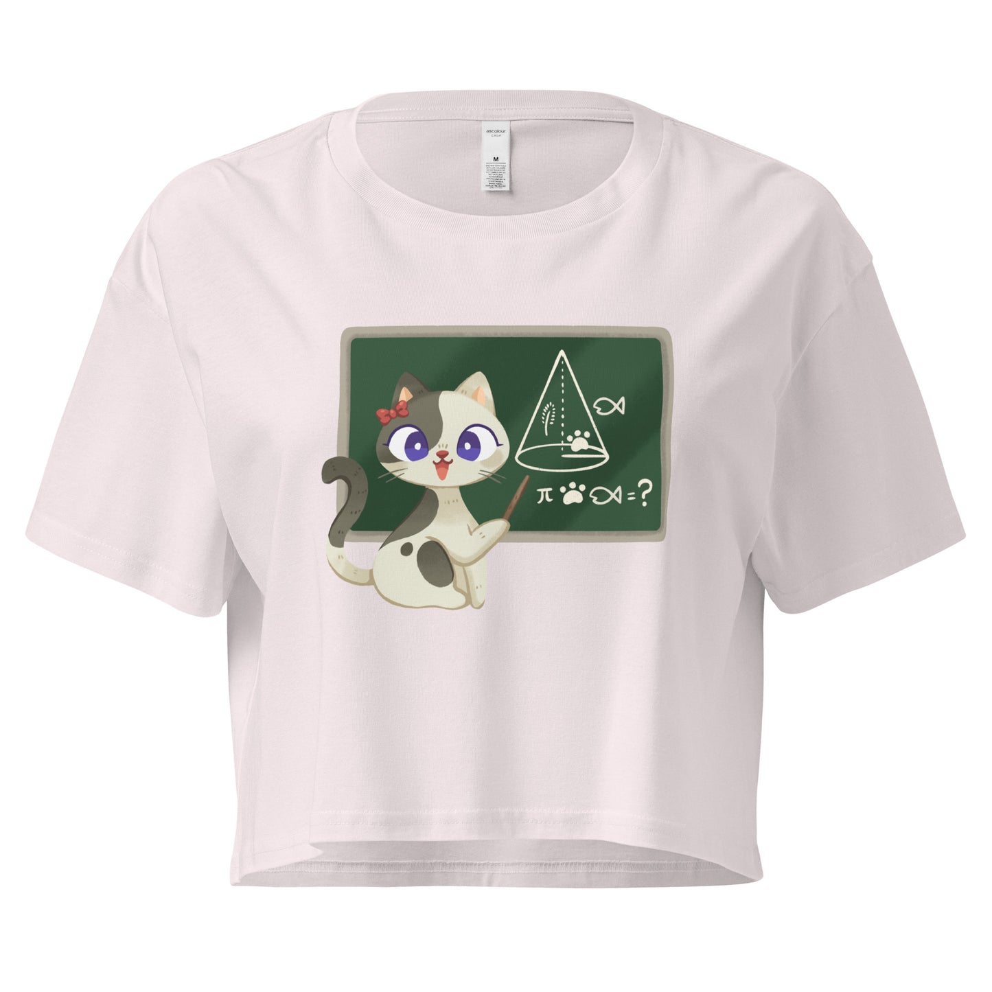 Crop top cat teacher in front of a chalkboard graphic design