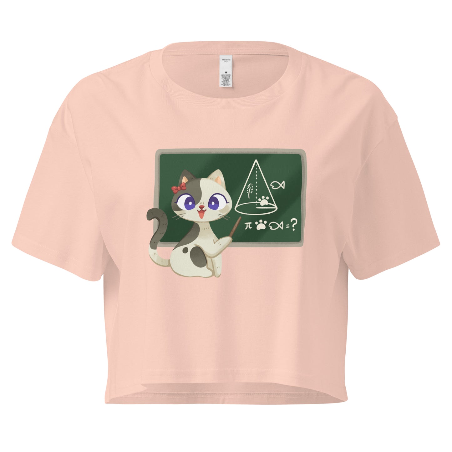 Peach crop top cat teacher in front of a chalkboard graphic design